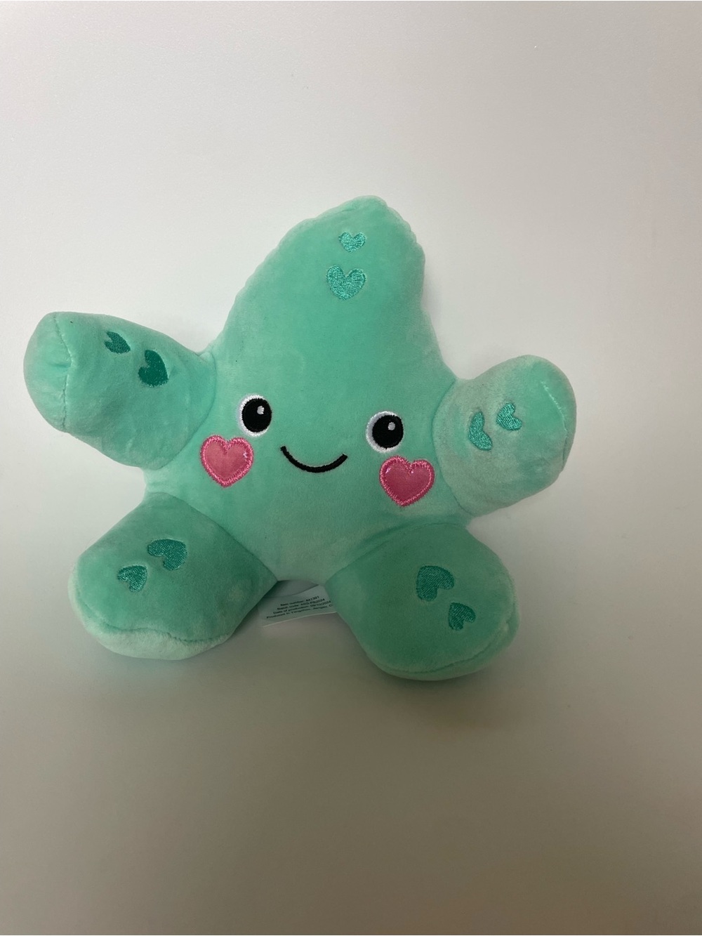 Mint Green Star Plush with Pink Heart Cheeks